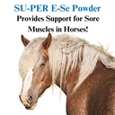 su-per-e-se-horses-antioxidant-supplemen-61qXxfYQ26L.jpg