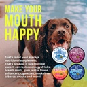 teaza-energy-pouches-mixed-4-flavors-nic-81ECFYWv82L.jpg