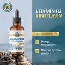 vykee-nutrition-vitamin-b2-riboflavin-dr-719EkxX0nLL.jpg