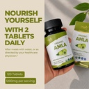 organic-spree-amla-120-tablets-rich-in-v-810U92a8j1L.jpg