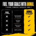 animal-creatine-monoydrate-powder-for-me-71WyaNukvZL.jpg