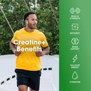 optimum-nutrition-creatine-plus-powder-o-81mDEJtr25L.jpg
