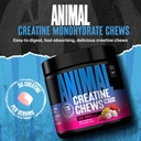 animal-creatine-monohydrate-chews-for-me-7130wuuLySL.jpg