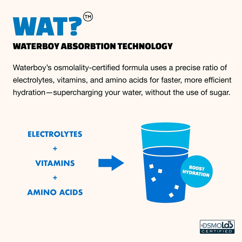waterboy-workout-hydration-variety-pack--71ElB7EdLAL.jpg