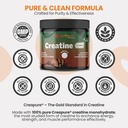 earthnutri-creatine-monohydrate-powder-m-81LlwYZk6bL.jpg
