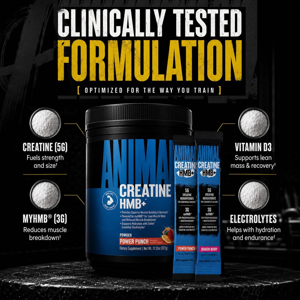 animal-creatine-monohydrate-hmb-for-men--71cogYqM-XL.jpg