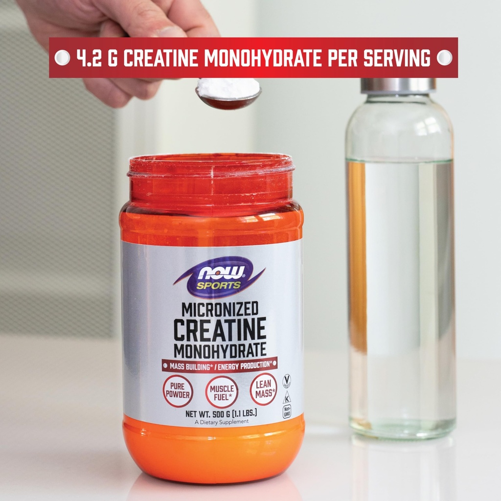now-sports-micronized-creatine-powder-mu-81mP6gzJYHL.jpg