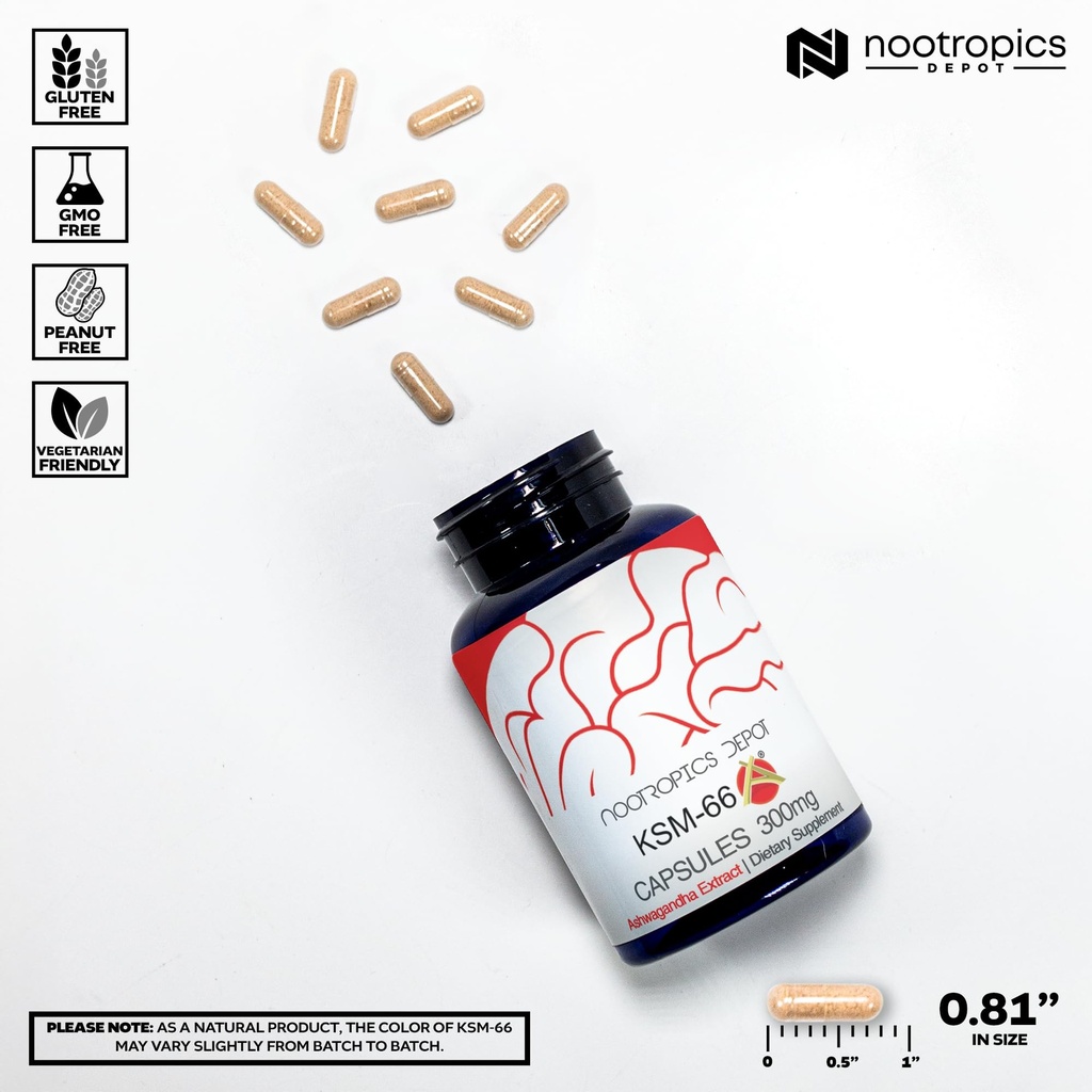 nootropics-depot-ksm-66-ashwagandha-caps-7128qm05OLL.jpg