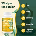 vivaravida-l-theanine-800mg-supplement-w-81xwQ3YCCXL.jpg