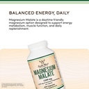 magnesium-malate-1-500mg-bioavailable-hi-71U1-pCsfqL.jpg
