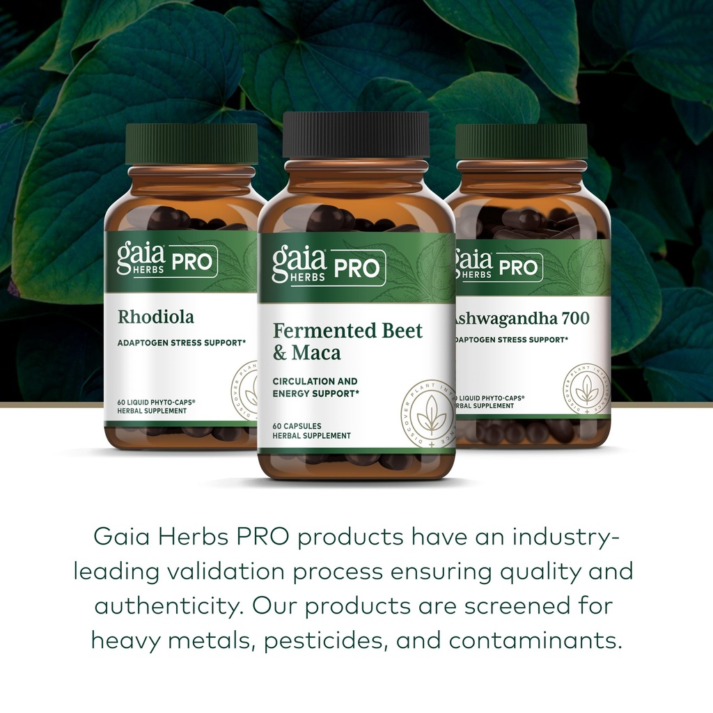 gaia-herbs-pro-magnesium-glycinate-400mg-81Cl5u6beyL.jpg