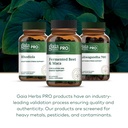 gaia-herbs-pro-magnesium-glycinate-400mg-81Cl5u6beyL.jpg