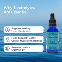 eidon-ionic-minerals-liquid-electrolytes-81M8fviTJDL.jpg