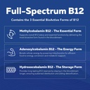 bioactive-b-complex-bloodstream-ready-me-71AuAUCAkaL.jpg