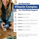 bioactive-b-complex-bloodstream-ready-me-71fgc5z+jtL.jpg