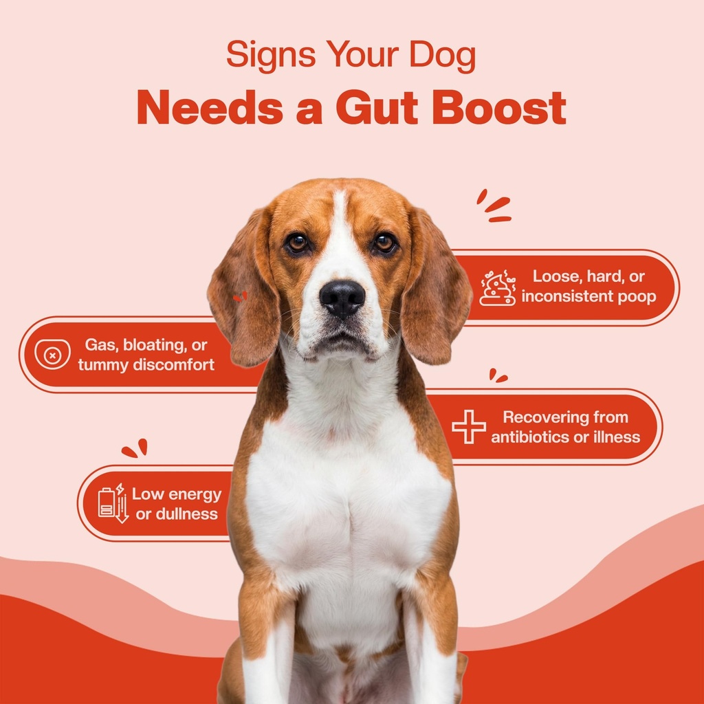 blep-super-gut-booster-dog-probiotic-sof-71v2x5I6HcL.jpg