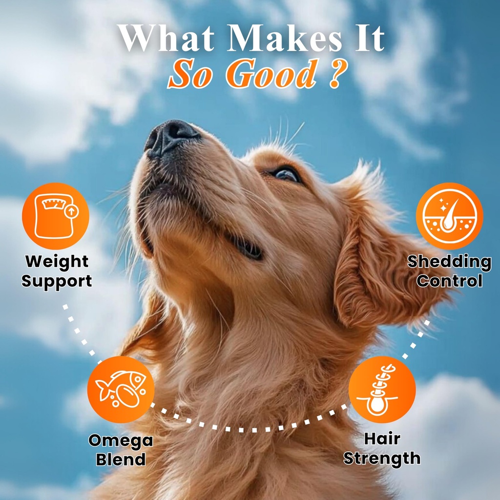 petroyale-furpro-40-dogs-protein-powder--81ed8S7GnkL.jpg