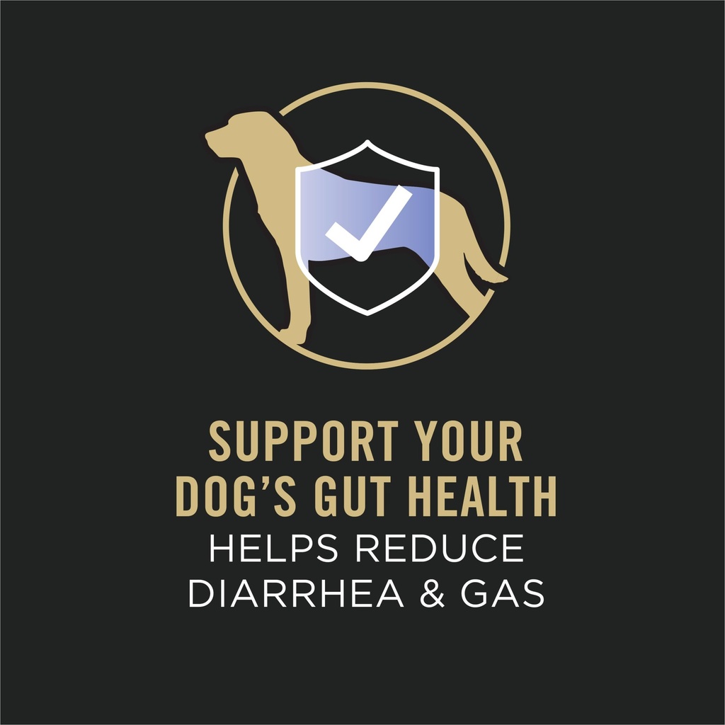 purina-fortiflora-canine-nutritional-sup-61rgziGlDoL.jpg