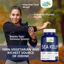 fitness-veda-thyroid-support-supplement--8118qmsIzLL.jpg