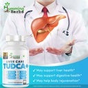 humming-herbs-liver-care-tudca-7-in-1-fo-81z6X8gBLqL.jpg