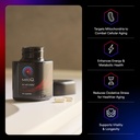 mitoq-pure-advanced-mitochondria-supplem-71uFsQLddqL.jpg