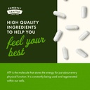 swanson-maximum-strength-peak-atp-400-mg-71qp35LgNFL.jpg