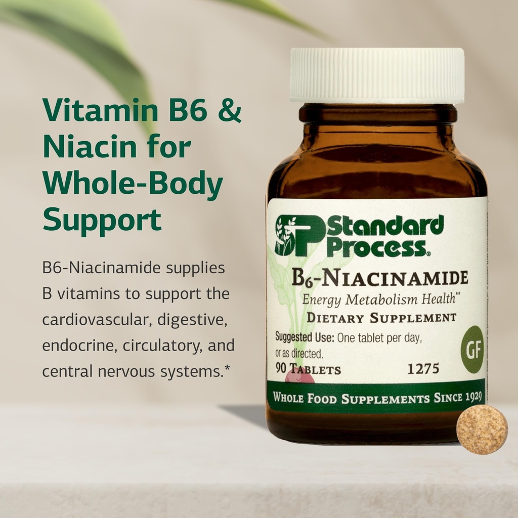 standard-process-b6-niacinamide-vitamin--81CHFmXZukL.jpg