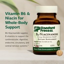 standard-process-b6-niacinamide-vitamin--81CHFmXZukL.jpg