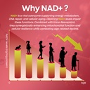 nad-gummies-1200mg-liposomal-nad-supplem-71K8KkKNWaL.jpg