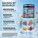 nad-resveratrol-supplement-spermidine-fi-81Ajfm6YaeL.jpg
