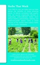traditional-medicinals-organic-everyday--4.jpg