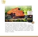 noto-liver-fortifying-zhangzhi-heath-sup-4.jpg