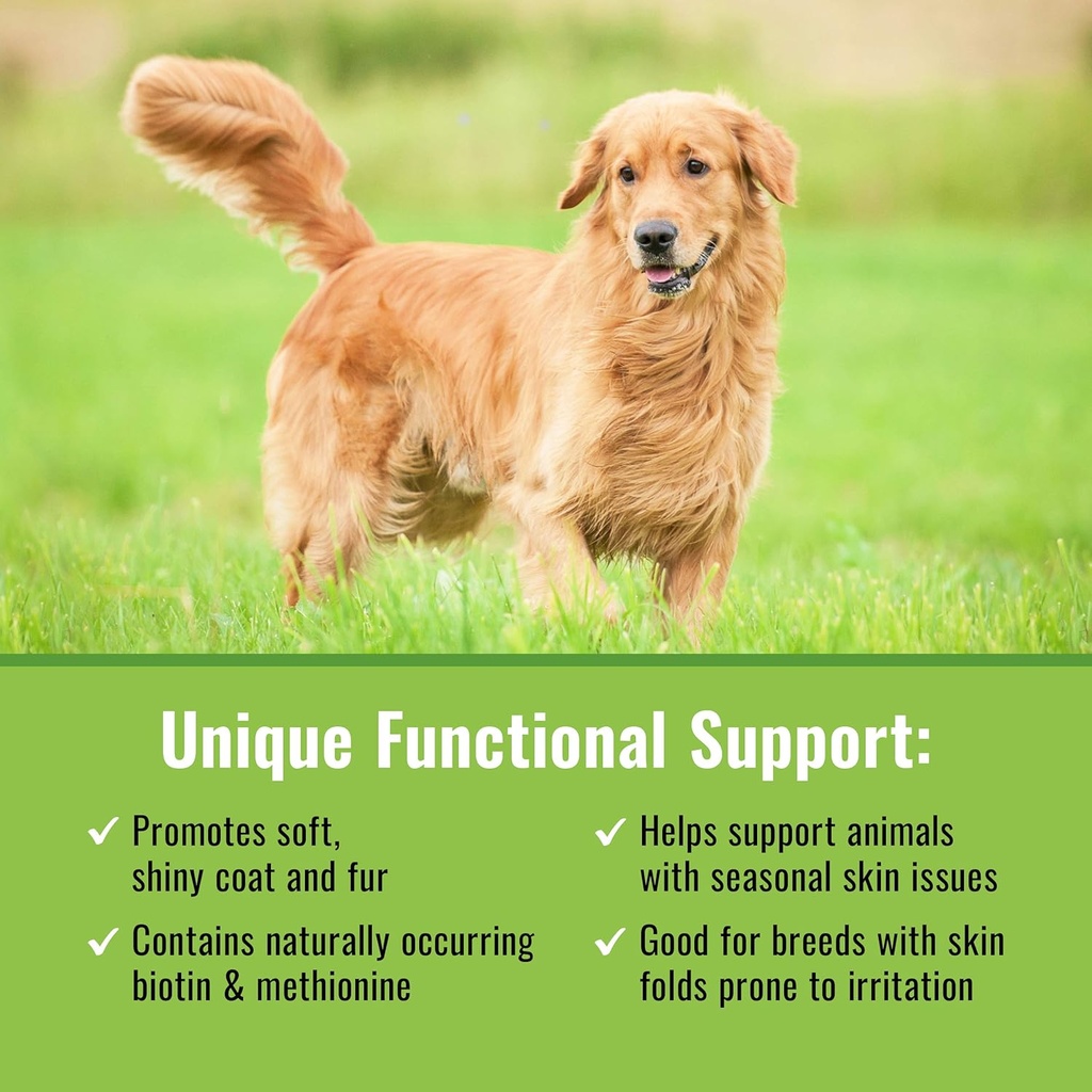 mushroom-matrix-canine-organic-mushroom--3.jpg