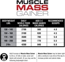 labrada-nutrition-muscle-mass-gainer-van-3.jpg