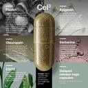 srw-cel3-renewal-60-capsules-stem-cell-s-2.jpg