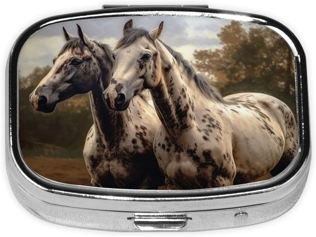 pill-case-pill-box-with-mirror-small-pil-5.jpg