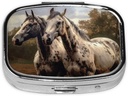 pill-case-pill-box-with-mirror-small-pil-5.jpg