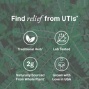 organika-chanca-piedra-500-mg--urinary-t-3.jpg