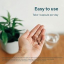 organika-chanca-piedra-500-mg--urinary-t-5.jpg