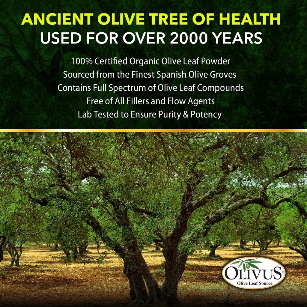 olive-leaf-capsules-bulk-1000-ct---550-m-5.jpg