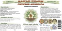 angelica-chinese-alcohol-free-liquid-ext-2.jpg