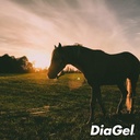 diagel-for-equine---orally-administered--4.jpg