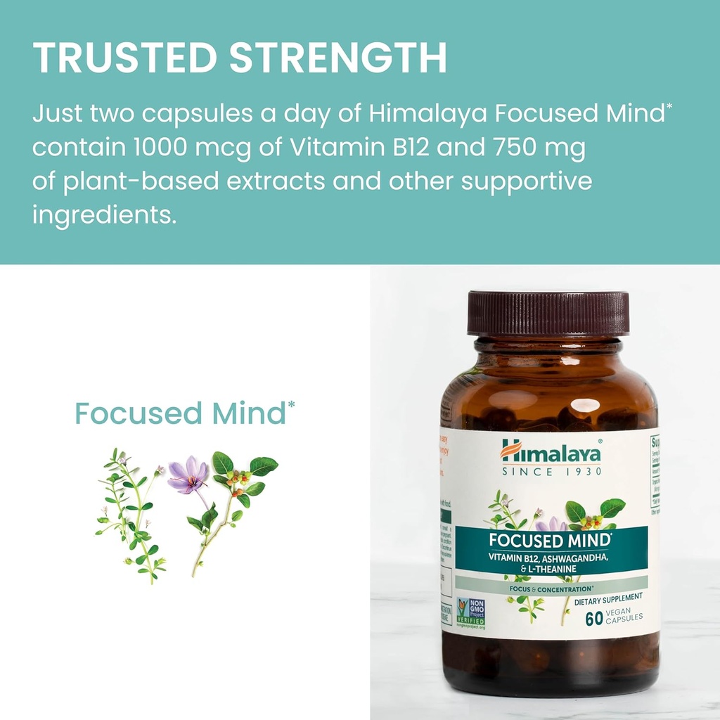 himalaya-focused-mind-with-ashwagandha-b-5.jpg