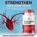 5-pack-clucofix-glycogen-support-capsule-6.jpg