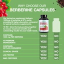 berberine-supplement-with-ceylon-cinnamo-6.jpg