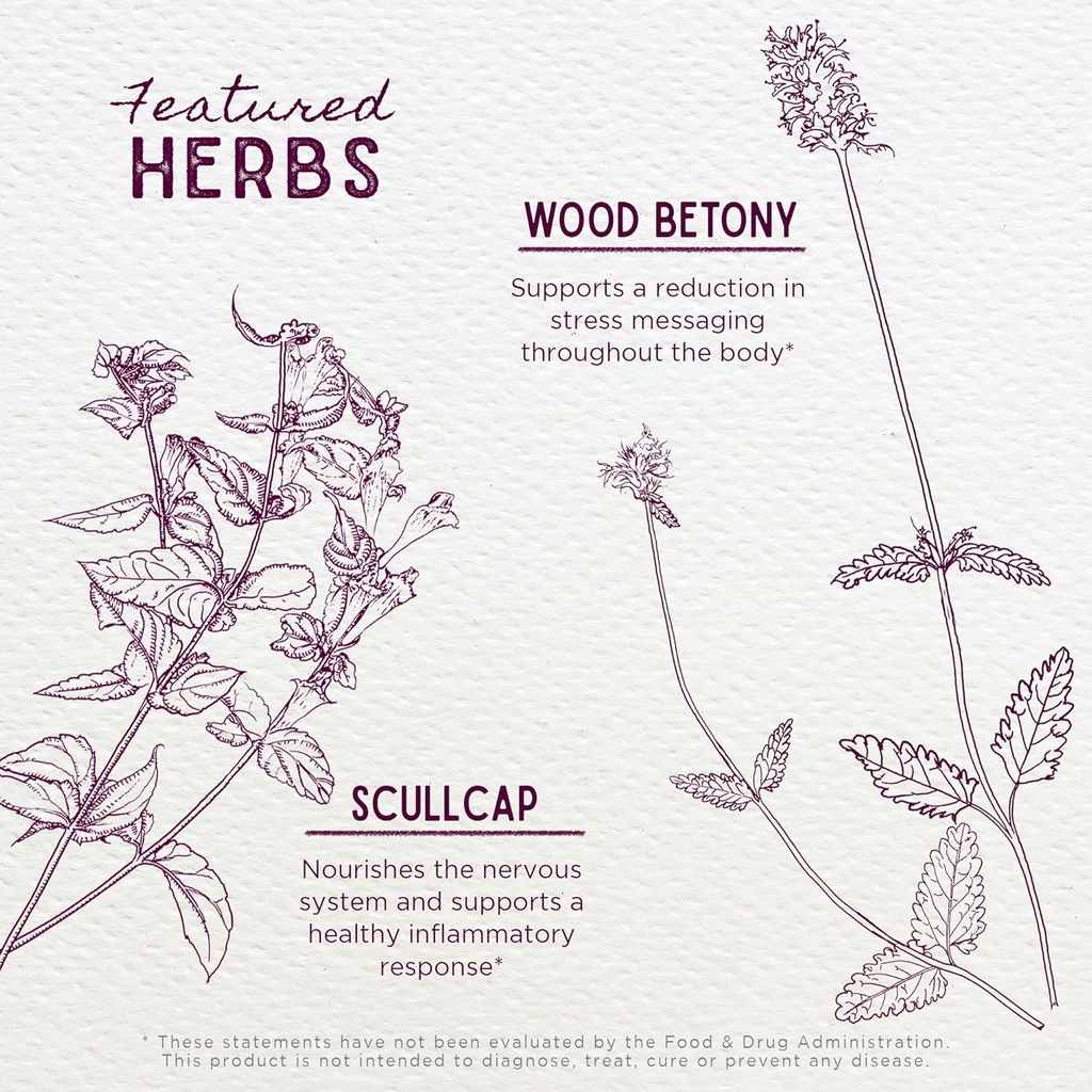 wishgarden-herbs---serious-relaxer-organ-4.jpg