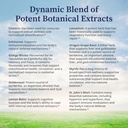 biopure-viressence-herbal-tincture-dynam-5.jpg