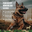 ogb-operation-good-boy---sre-skincoatall-2.jpg