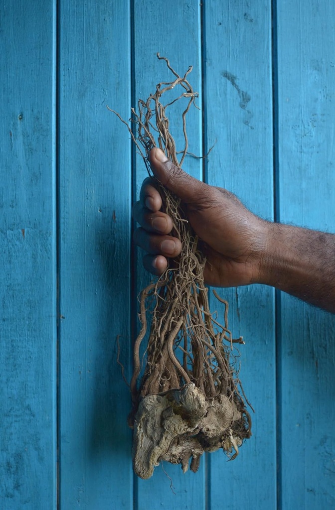 sebotanicals-vanuatu-sangava-ceremonial--3.jpg