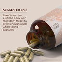horsetail-60-capsules-high-potency-herba-2.jpg